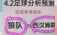 九游娱乐-包含西汉姆联逆转取胜，锁定中游席位的词条
